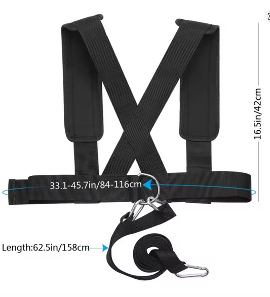 Shoulder Harness